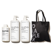 VOLUMIZE + REPAIR VALUE SET