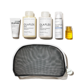 THE HEALTHY HAIR TRAVEL SET